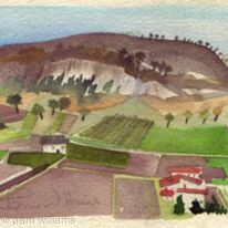 14. Saffron fields, Navelli