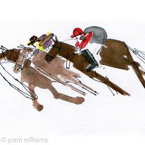 Loose horse - 2nd Race
