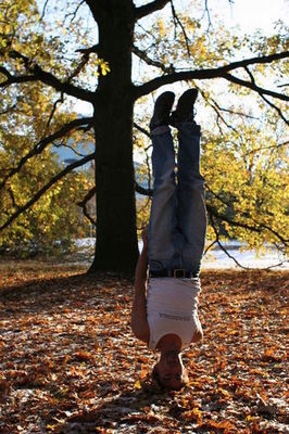 tiergarten