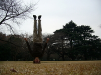 Shinjuku Gyoen