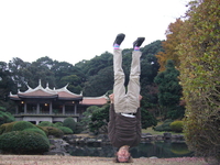 Shinjuku Gyoen pagoda