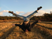 Ashdown Forest