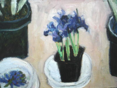 iris