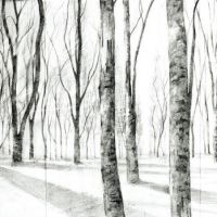 Forest Lightning