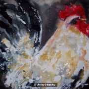 White cockerel