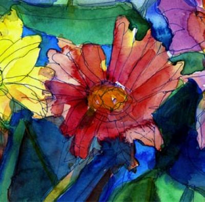 Gerbera