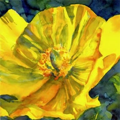 Yellow Poppy