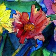 Gerbera