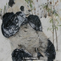 Panda and Bamboo