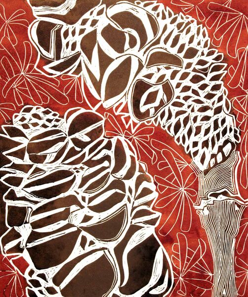 Banksia Cones