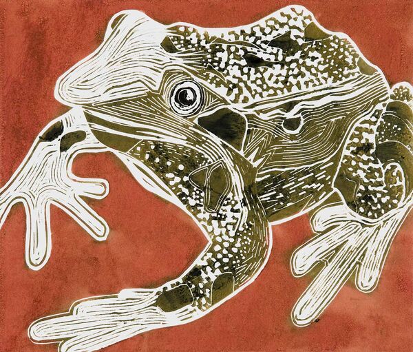 Frog