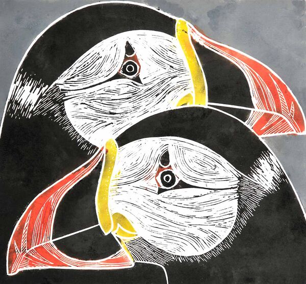 Puffins