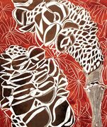Banksia Cones