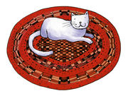 A Cat on a Mat