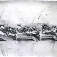 Angles of Repose