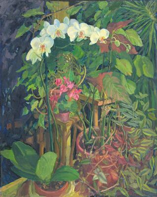 Orchid