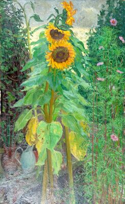 Sunflowers