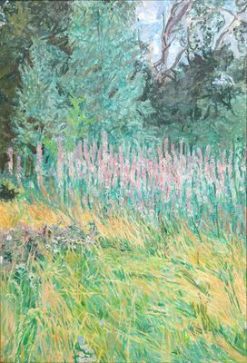 Willow herb
