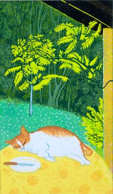 Cat on table