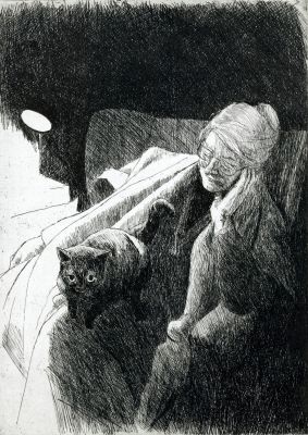 Cat on lap