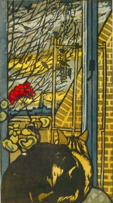 Cat at window in winter