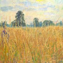 Field