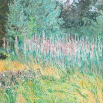 Willow herb
