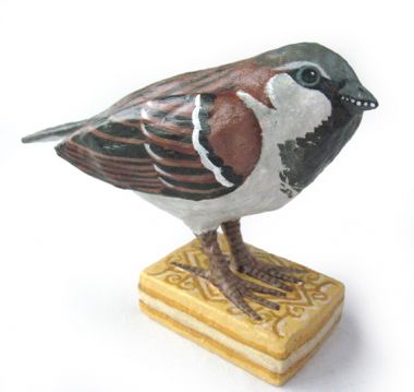 House Sparrow on Custard Cream