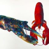 Two Lobsters