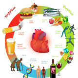 CVD (textbook illustration)