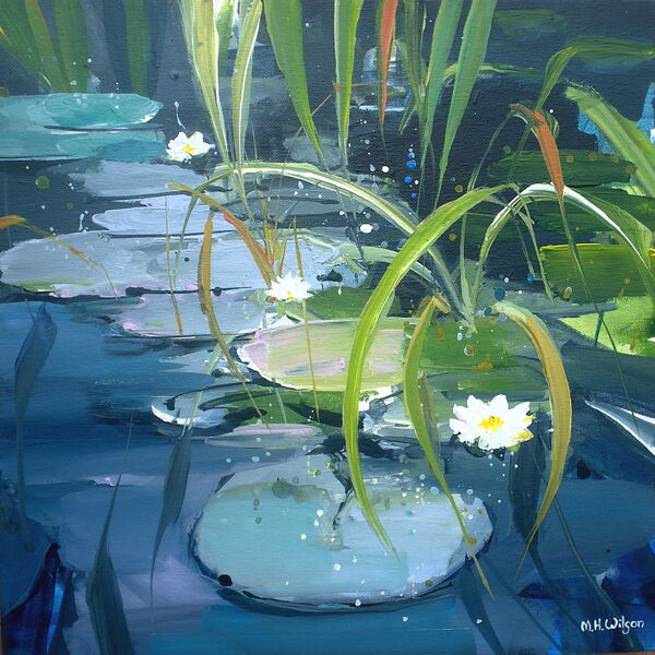 Lily Pond