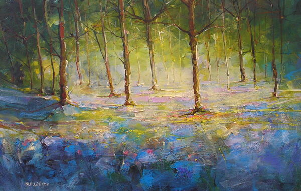Bluebells and Morning Light 2