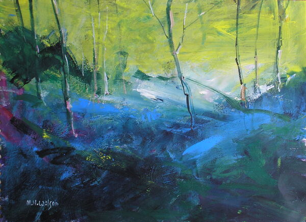 Morning Sunlight and Bluebells
