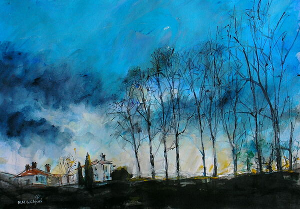 Winter Trees  Sunlight, Bingham Park, Sheffield