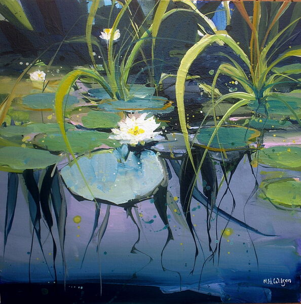 LIly Pond
