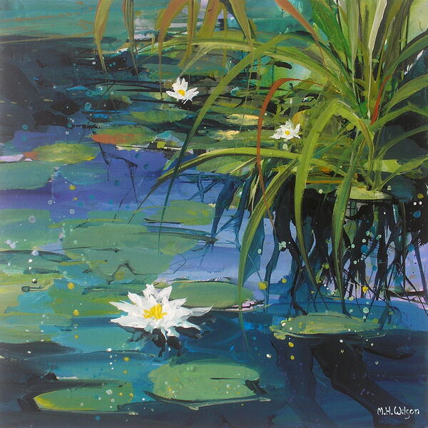 Lily Pond