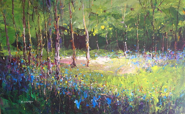 Bluebells and Morning Sunlight