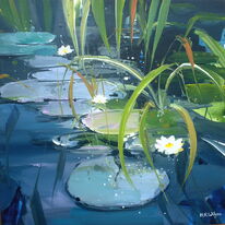 Lily Pond