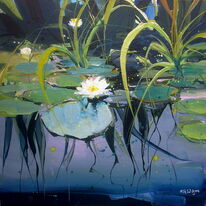 LIly Pond