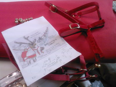Raindeer Harness For Rimmel London