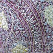 C7622 - (Detail) Metal Embroidery Panel