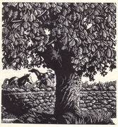 Horse Chestnut   by Beverley White