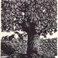 Horse Chestnut   by Beverley White