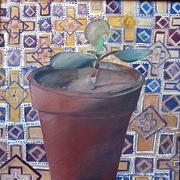 'Happiness plant'