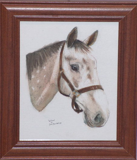 Horse Head