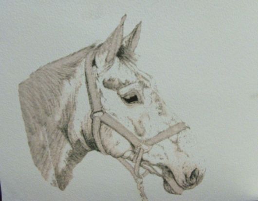 Horse Head 2
