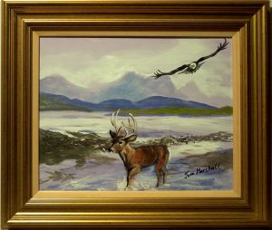 Lonely Deer Wading in Scottish Burn