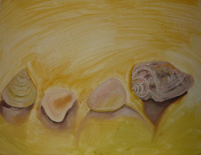 Shells and Stones