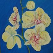 Orchid On Blue