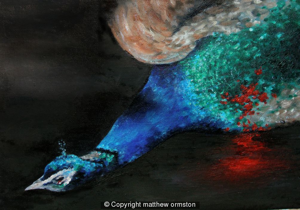 The Dead Peacock